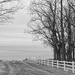 Fence Lined by digitalrn
