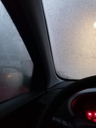 7th Dec 2024 - morning situations