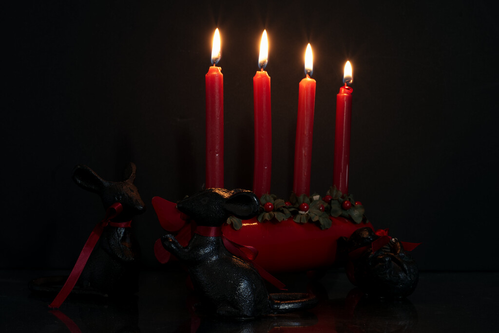 Pig Candle by 30pics4jackiesdiamond