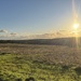 Rare sunshine  by jeremyccc
