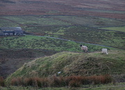 19th Dec 2024 - i can see your house from up here