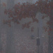 Foggy Morning by k9photo