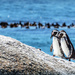 Just the two of us by ludwigsdiana