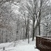 Fresh Snow by pej76