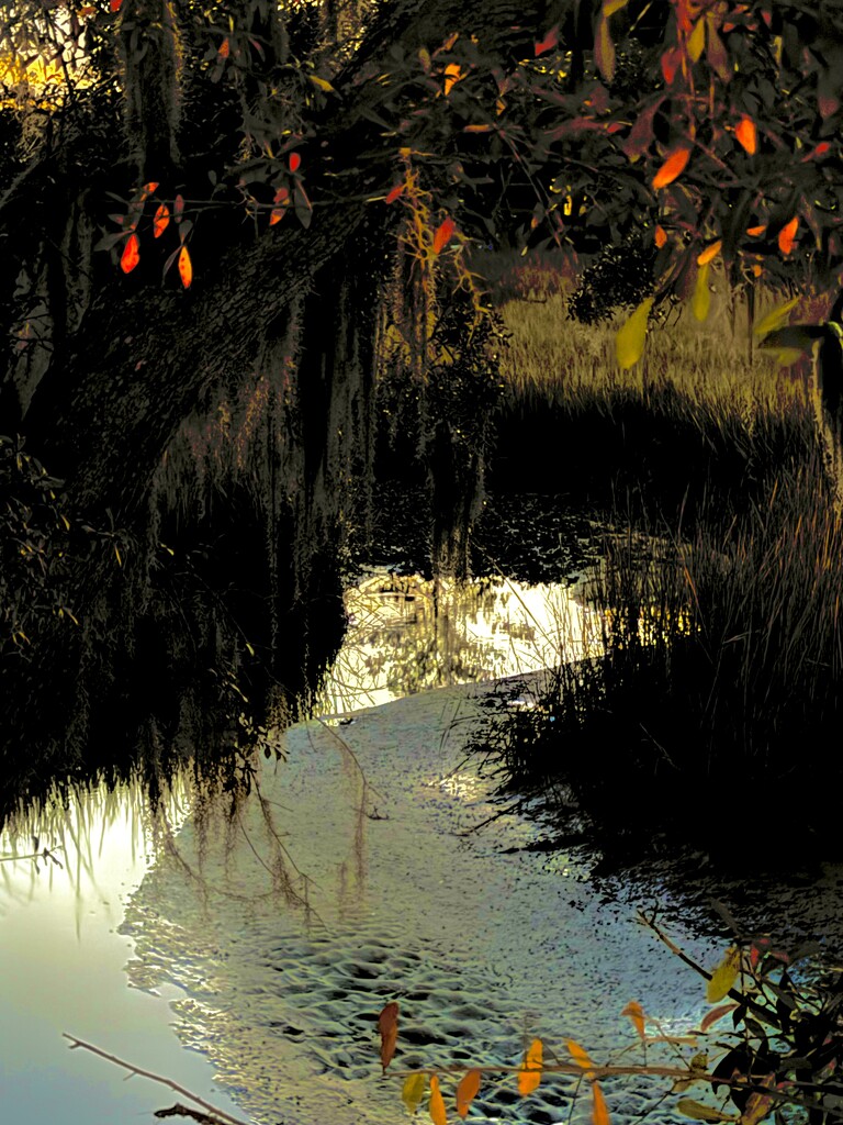 Marsh creek at sunset  by congaree
