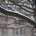 Snowy Contours by 365projectorgheatherb