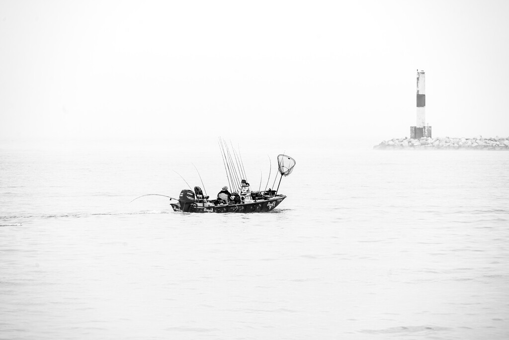 fog fishing  by myhrhelper