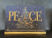 21st Dec 2024 - PEACE- December words
