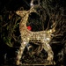 Reindeer on guard  by boxplayer
