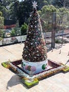 15th Dec 2024 - Urban Christmas