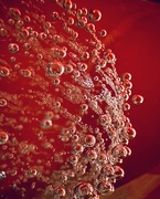 22nd Dec 2024 - Bubbles