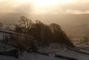 22nd Dec 2024 - morning snow