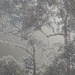 From the "new" deck.. by robz