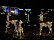 20th Dec 2024 - Making Spirits Bright