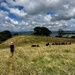 The farm walk by dide