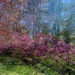 The Garden In Layers by falcon11