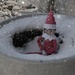 Playing In The Snow