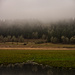 Fog and layers by joysabin