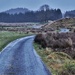 wet and winding road by christophercox