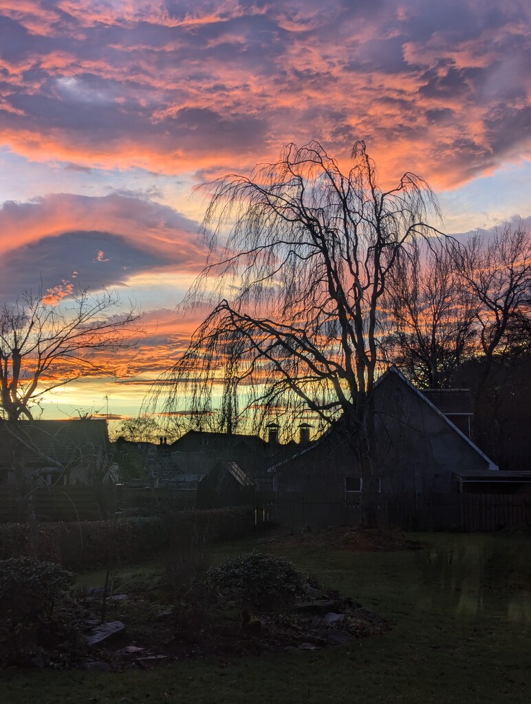 Christmas Eve  by sarah19