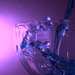 Cheers by photohoot