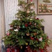 Oh Christmas tree by busylady