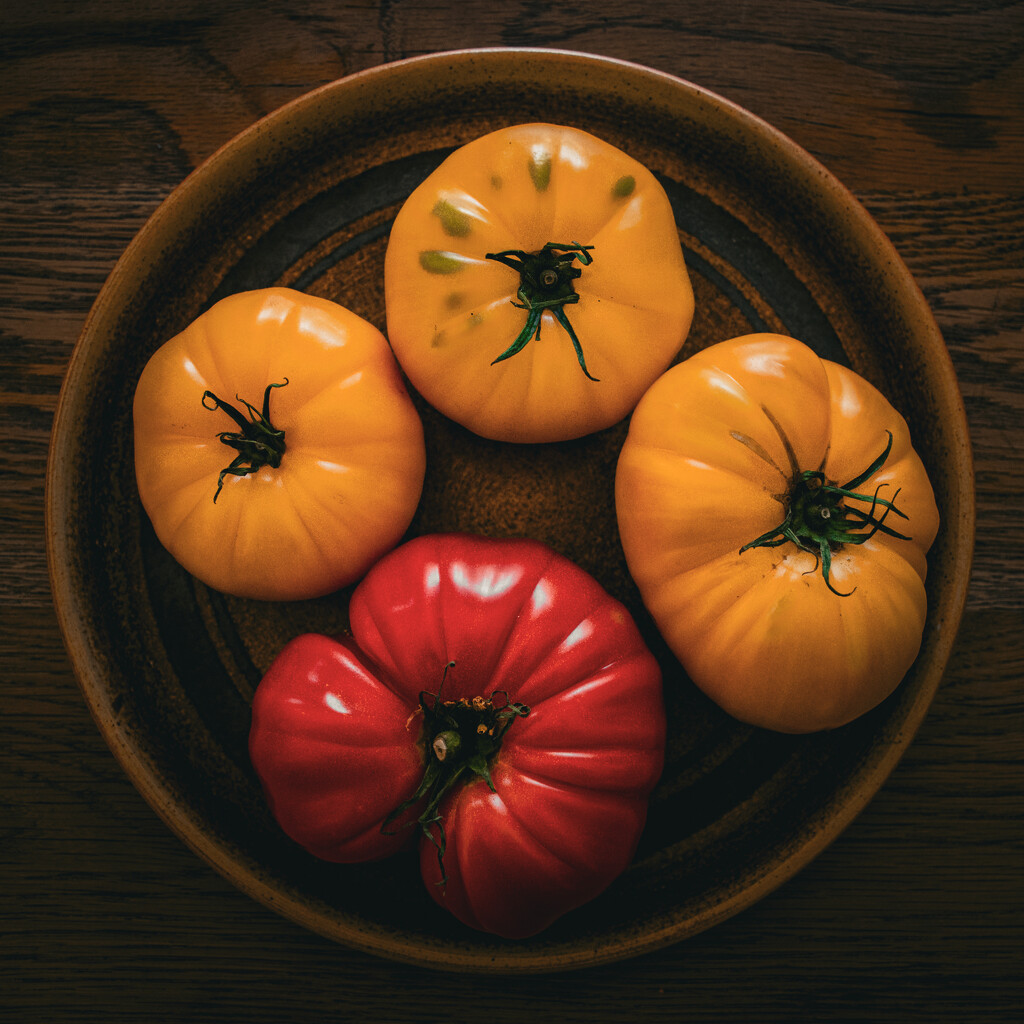 Tomato's by nannasgotitgoingon