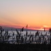 Sunset silhouettes by edorreandresen