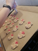 23rd Dec 2024 - cookie morning