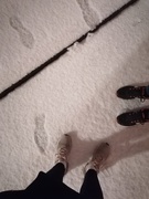 22nd Dec 2024 - first snow \o/