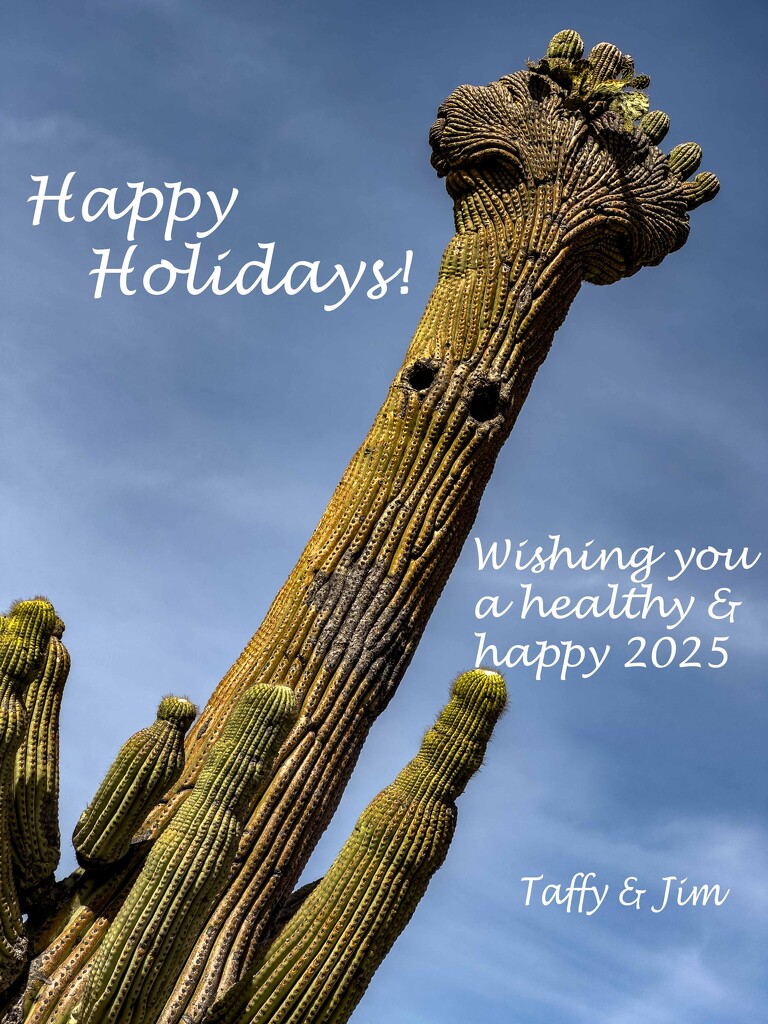 Happy Holiday Season! by taffy