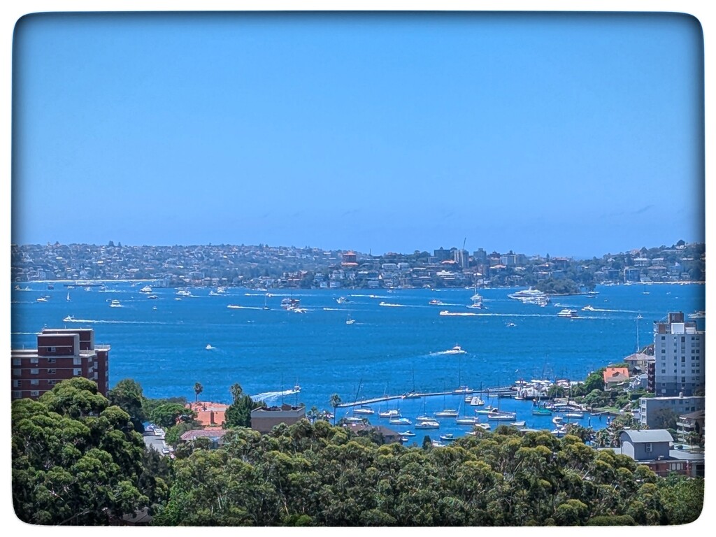 Sydney Boxing Day  by elf