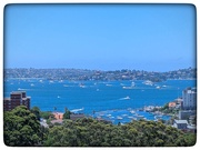 26th Dec 2024 - Sydney Boxing Day 