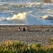Beach scene..