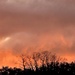 Early winter sunset by congaree
