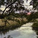 Marsh creek sunset by congaree