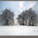 Snowy puzzle... by marlboromaam