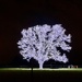 The Bartonville Tree by louannwarren