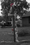 26th Dec 2024 - Why would anyone ever take down their Halloween skeletons?