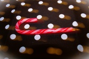 26th Dec 2024 - Dotted Delight