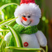 Hiding Snow Person... by thewatersphotos