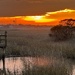 Marsh sunset  by congaree