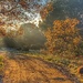 Frosty, misty morning, with sunshine on the way ! by laroque