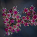 Winter plant by haskar