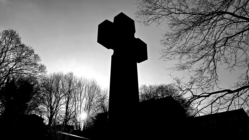 361/366 - Sheffield General Cemetery  by isaacsnek