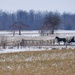 A Cold Country Drive by ljmanning