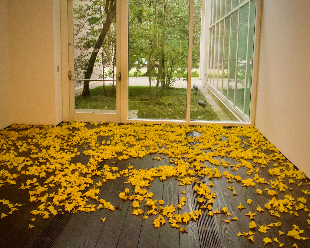 The Menil Collection by eudora