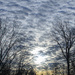 Morning clouds by ggshearron