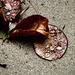 Evidence of a Steady Drizzle by elatedpixie