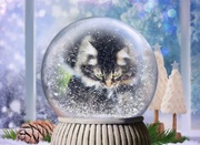 28th Dec 2024 - Everything is Always Perfect